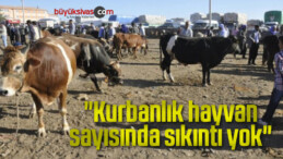 “Kurbanlık hayvan sayısında sıkıntı yok”