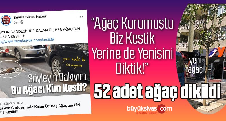 Belediye : “Ağaç Kurumuştu Biz Kestik Ama Yerine Yenisini Diktik”