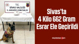 Sivas’ta 4 kilo 662 gram esrar ele geçirildi