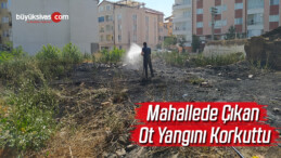 Mahallede çıkan ot yangını korkuttu