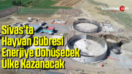 Hayvan gübresi enerjiye dönüşecek, ülke kazanacak