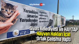 Sivas Belediyesi Ve HAYTAP Hayvan Hakları İçin Ortak Çalışma Yaptı