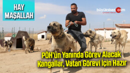 PÖH’ün yanında görev alacak kangallar, vatan görevi için hazır