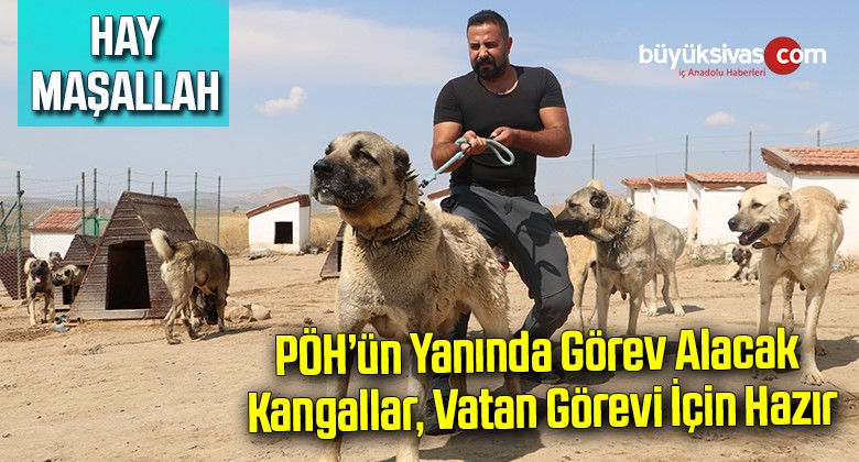 PÖH’ün yanında görev alacak kangallar, vatan görevi için hazır