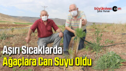 Aşırı sıcaklarda ağaçlara can suyu oldu