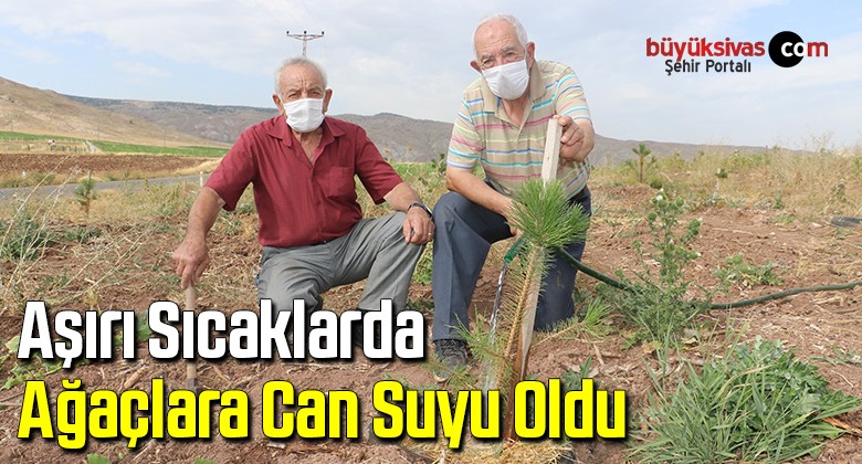 Aşırı sıcaklarda ağaçlara can suyu oldu