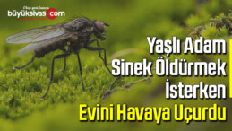 yaşlı adam, sinek öldürmek isterken evini havaya uçurdu