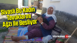 Tavukları Ağzı İle Besliyor