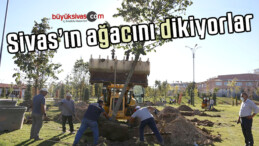 Sivas Belediyesi Sivas’ın Ağacını Dikiyor! Sıra Millet Bahçesinde
