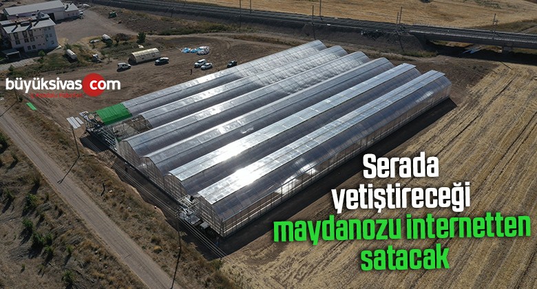 Serada yetiştireceği maydanozu internetten satacak