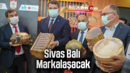 Sivas balı markalaşacak