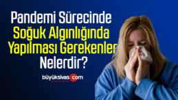 Pandemi Sürecinde Soğuk Algınlığında Yapılması Gerekenler Nelerdir?