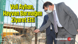 Vali Ayhan, Hayvan Barınağını Ziyaret Etti