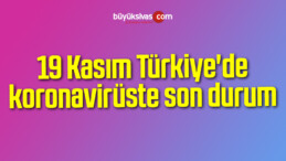 19 Kasım Türkiye’de koronavirüste son durum