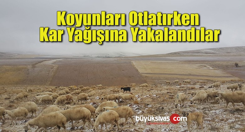 Koyunları otlatırken kar yağışına yakalandılar