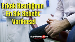 Erkek Kısırlığının En Sık Sebebi: Varikosel