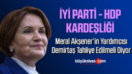 İyi Partili Yavuz Ağıralioğlu: Demirtaş kararına saygı duyulmalı