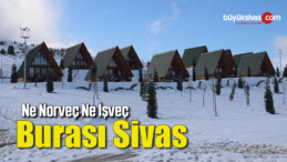 Ne Norveç ne İşveç, burası Sivas