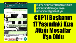 CHP İlçe Başkanı, 17 yaşındaki genç kızı taciz etti