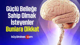 Güçlü Belleğe Sahip Olmak İsteyenler Bunlara Dikkat