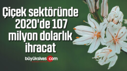 Çiçek sektöründe 2020’de 107 milyon dolarlık ihracat