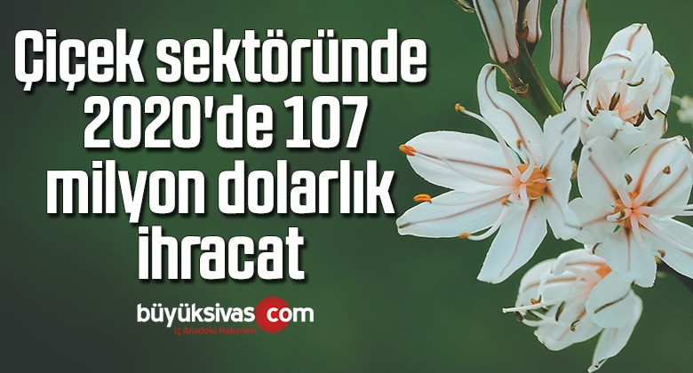 Çiçek sektöründe 2020’de 107 milyon dolarlık ihracat