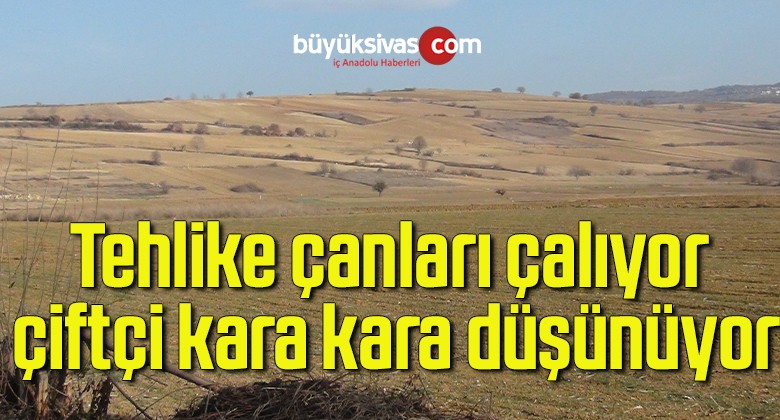 Tehlike çanları çalıyor, çiftçi kara kara düşünüyor