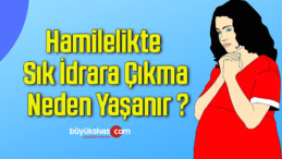 Hamilelikte Sık İdrara Çıkma Neden Yaşanır ?