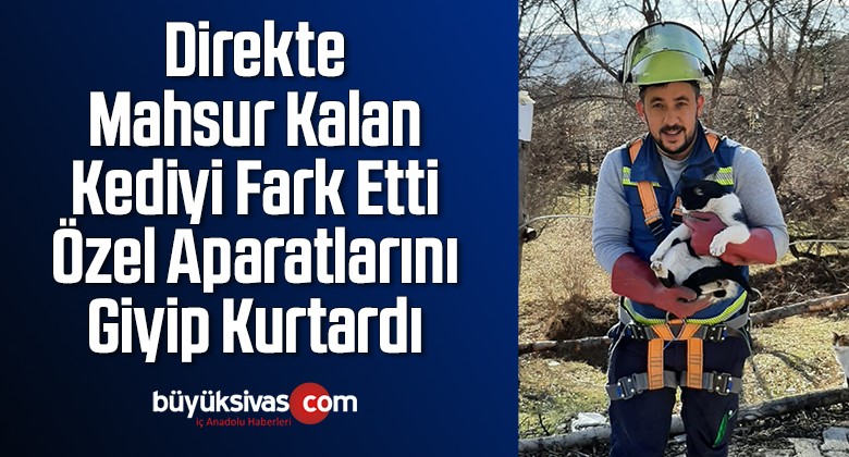 Direkte mahsur kalan kediyi fark etti, özel aparatlarını giyip kurtardı