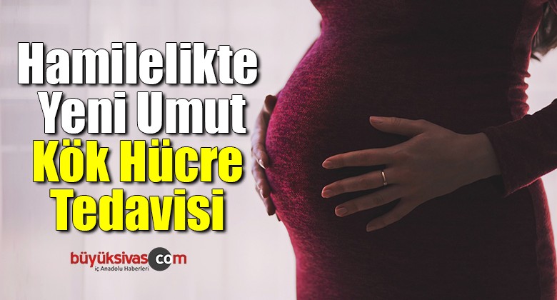 Hamilelikte yeni umut kök hücre tedavisi