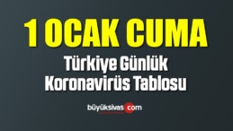 1 Ocak TÜRKİYE’DE KORONAVİRÜS RAPORU