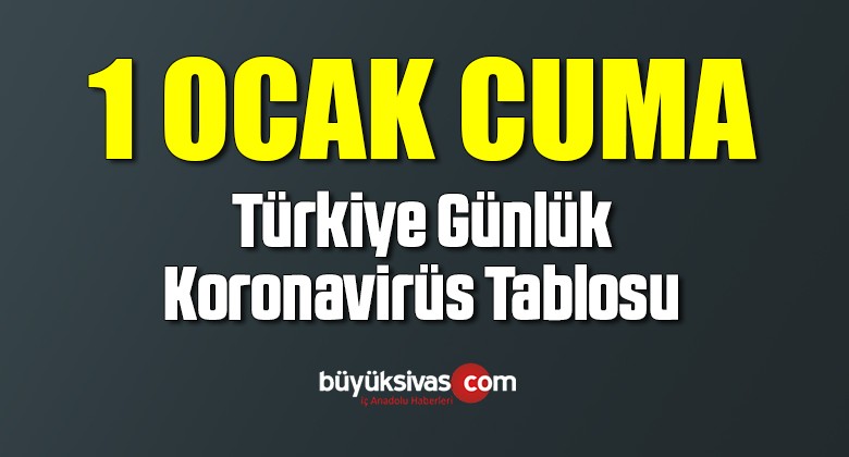 1 Ocak TÜRKİYE’DE KORONAVİRÜS RAPORU