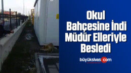 Okul bahçesine indi, müdür elleriyle besledi