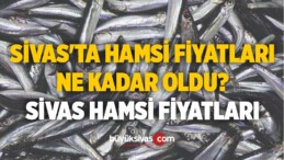 Sivas’ta hamsi fiyatları ne kadar oldu? Sivas hamsi fiyatları