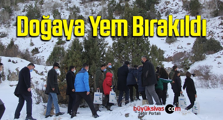 yaban hayvanlarına destek olmak için doğaya yem bırakıldı