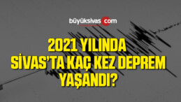 Sivas’ta Bu Yıl Kaç Kez Deprem Oldu? Deprem Anında Ne Yapılmalı?