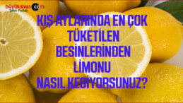 Kış Aylarında En Çok Tüketilen Ürünlerden Olan Limon Nasıl Doğranmalı?