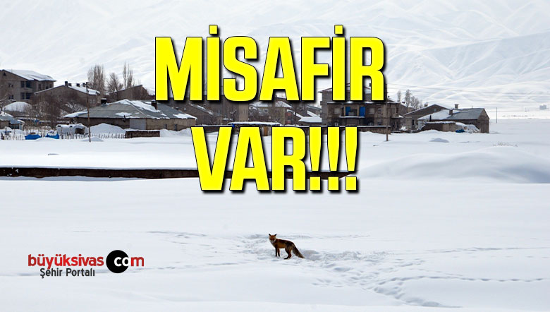 MİSAFİR VAR