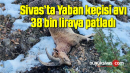 Yaban keçisi avı 38 bin liraya patladı