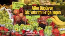 Altın Fiyatları Düşüşte Erik Fiyatları Çeyrek Altını Geçti