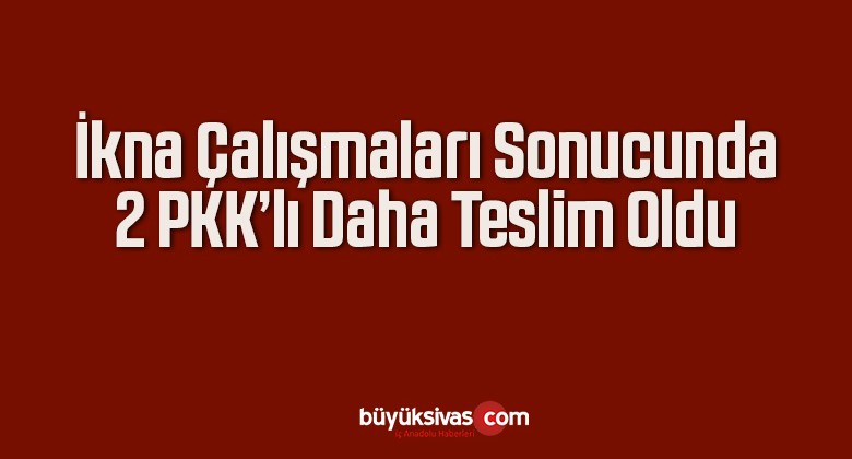 İkna Çalışmaları Sonucu 2 PKK Mensubu Güvenlik Güçlerine Teslim Oldu