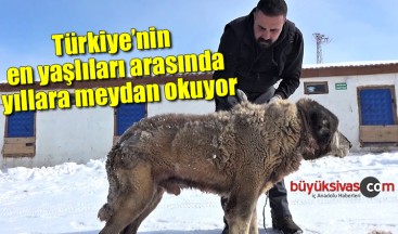 Türkiye’nin en yaşlıları arasında, yıllara meydan okuyor