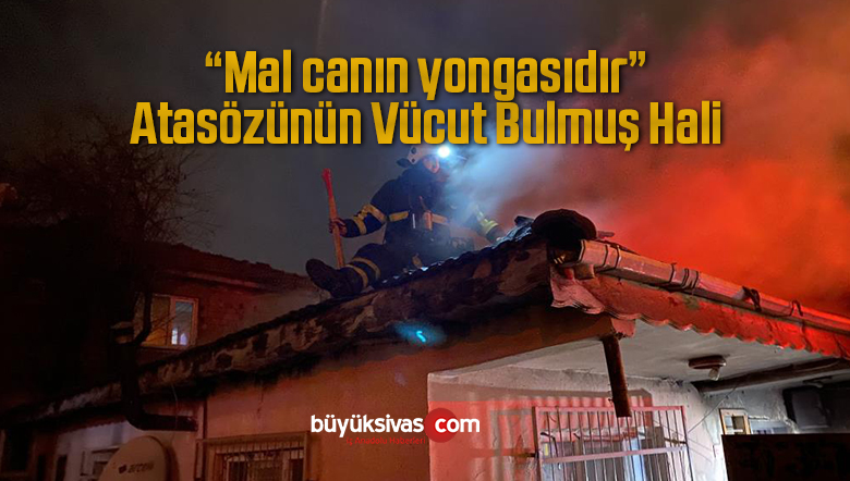 mal canın yongası