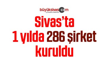 Sivas’ta 1 yılda 286 şirket kuruldu