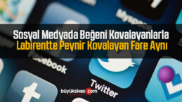 Sosyal Medyada Beğeni Kovalayanla Peynir Kovalayan Fare Aynı