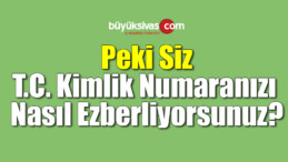 TC kimlik numarasını ezberleme şekline göre zeka türü ortaya çıkıyor