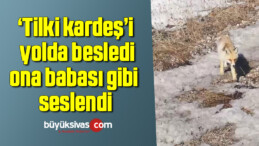 ‘Tilki kardeş’i yolda besledi, ona babası gibi seslendi