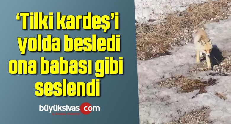 ‘Tilki kardeş’i yolda besledi, ona babası gibi seslendi