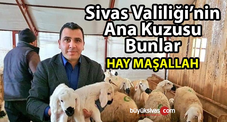 Valilik projesi ile sürü sahibi oldu! Allah Sivas Valiliğini Varetsin