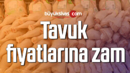 Tavuk fiyatlarına 2 TL zam